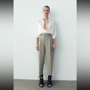 Pleated Zara Pants